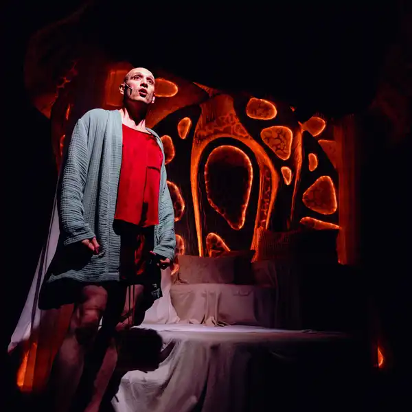 Szenenfoto: Drew Sarich im Scheinwerferlicht vor der glühenden Kulisse des Musicals Amanda.